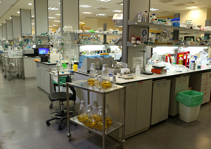Foto El Instituto de Investigación Migal Galilee usa las aplicaciones BIOVIA de Dassault Systèmes en su I+D para la vacuna contra la COVID-19